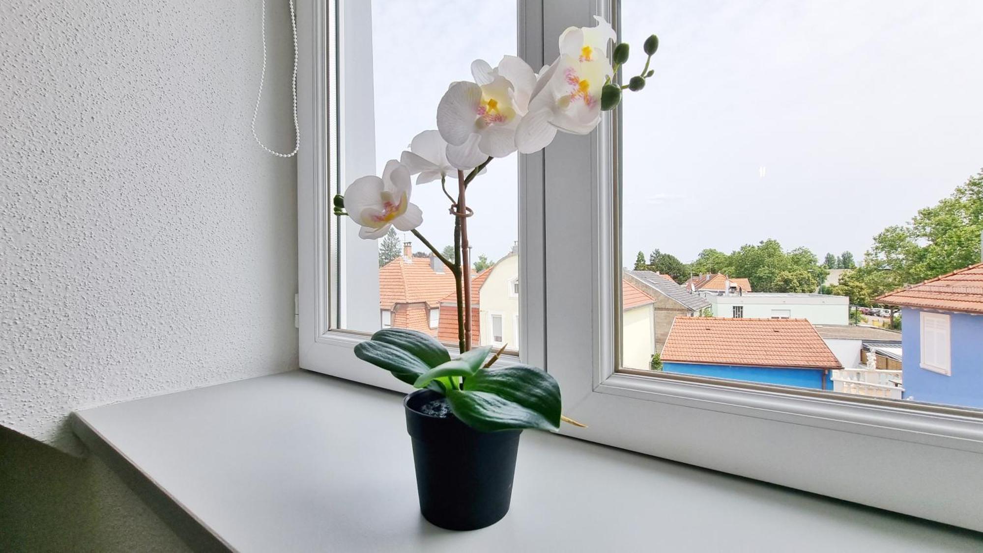 Le Triplex - 5 Chambres - 10 Pers- Fibre - Relax Bnb Mulhouse Eksteriør bilde